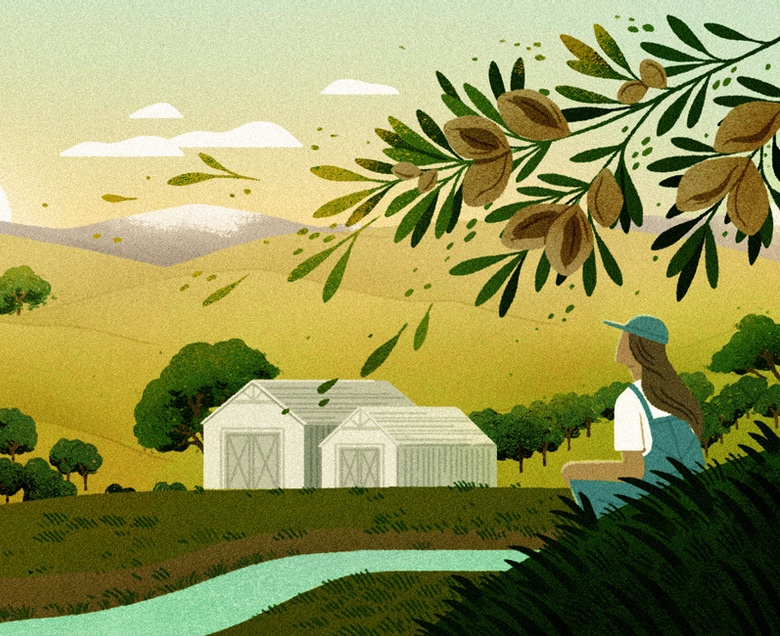 Los agricultores de almendras se preparan para un mundo más caluroso